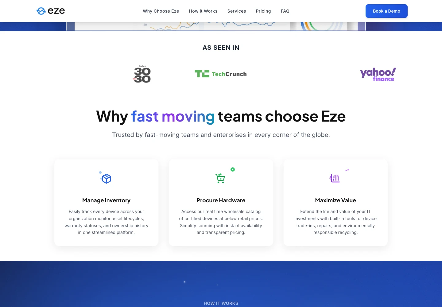 Eze IT: Website detail