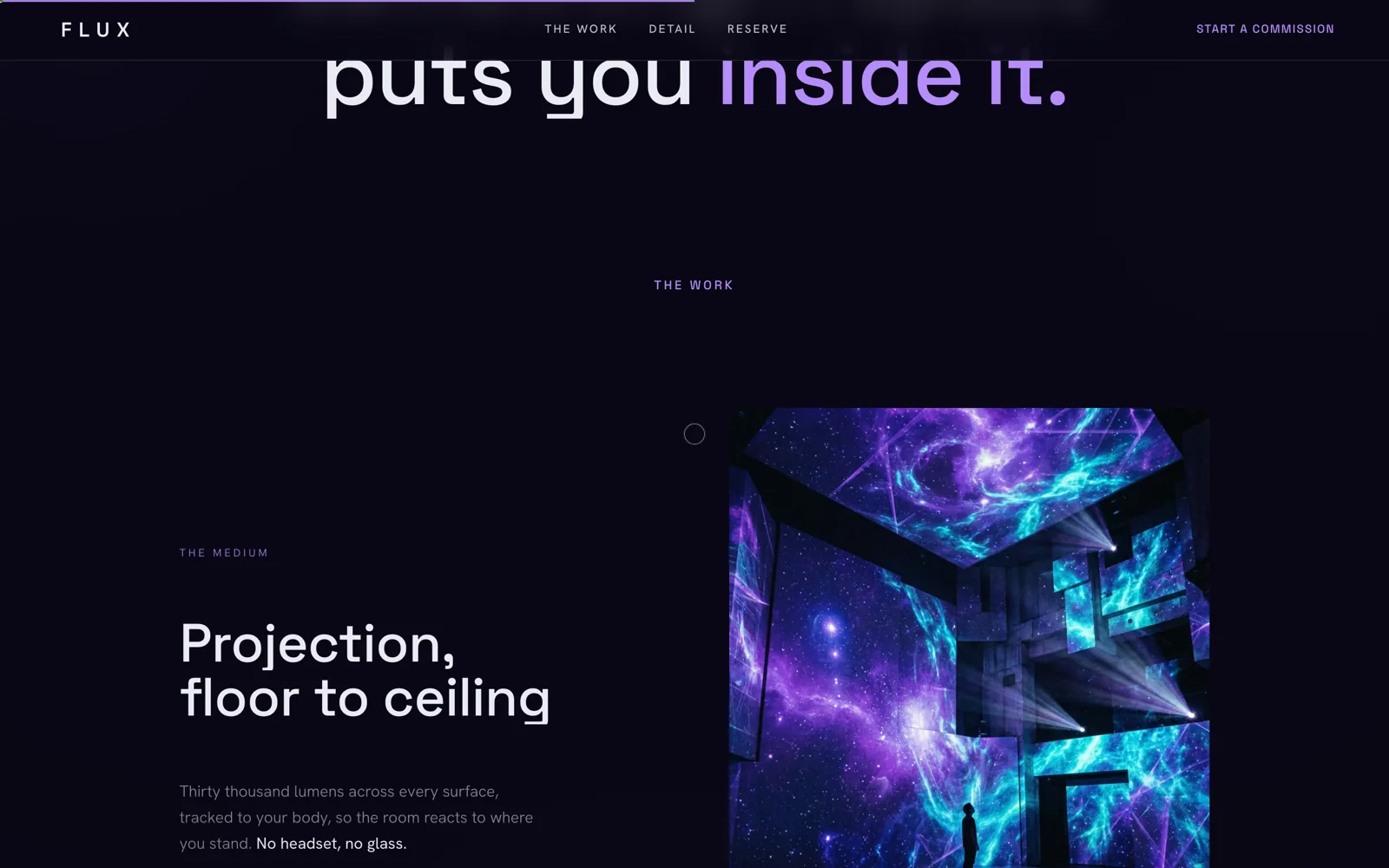 Flux: Website detail