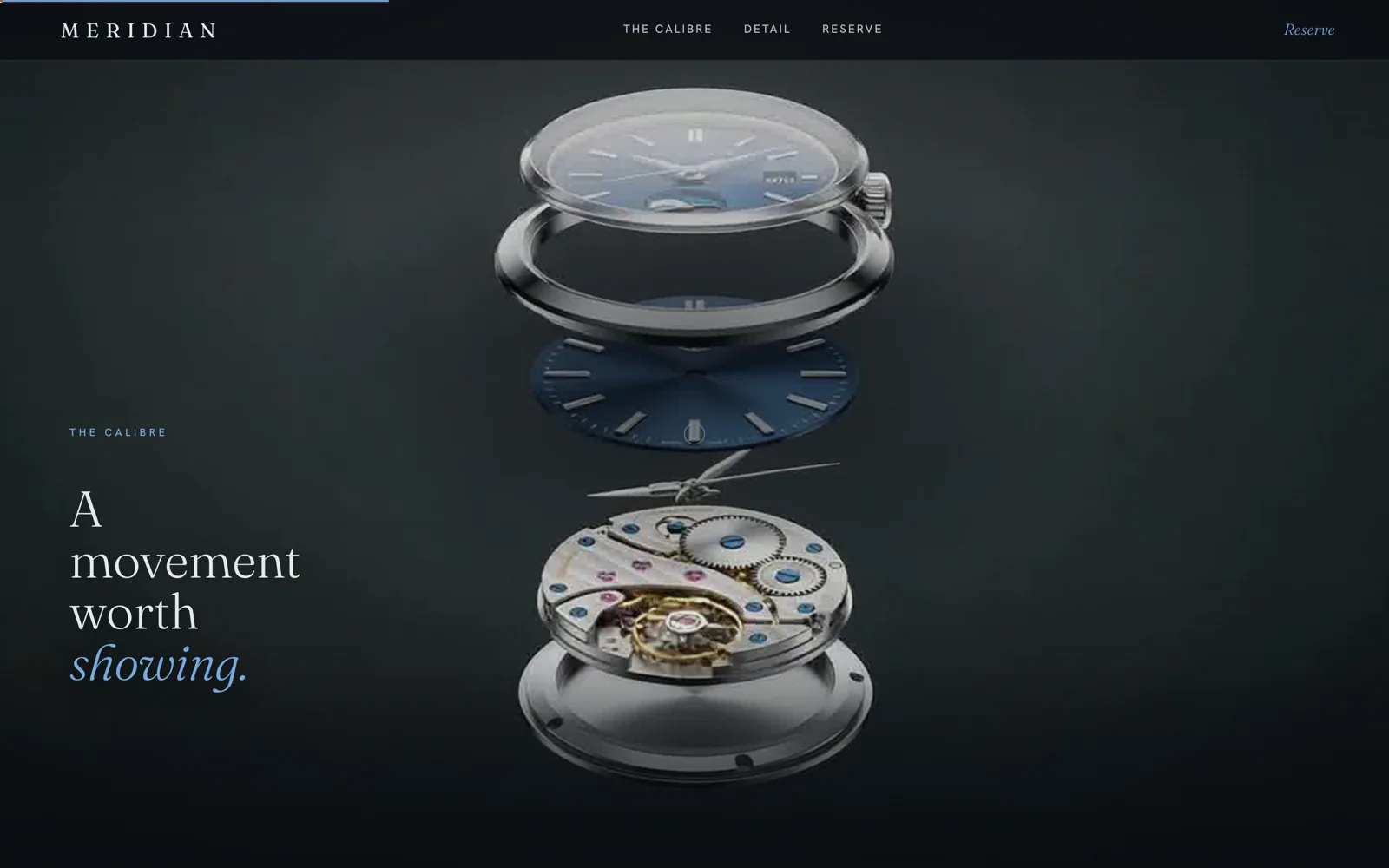 Meridian: Website detail