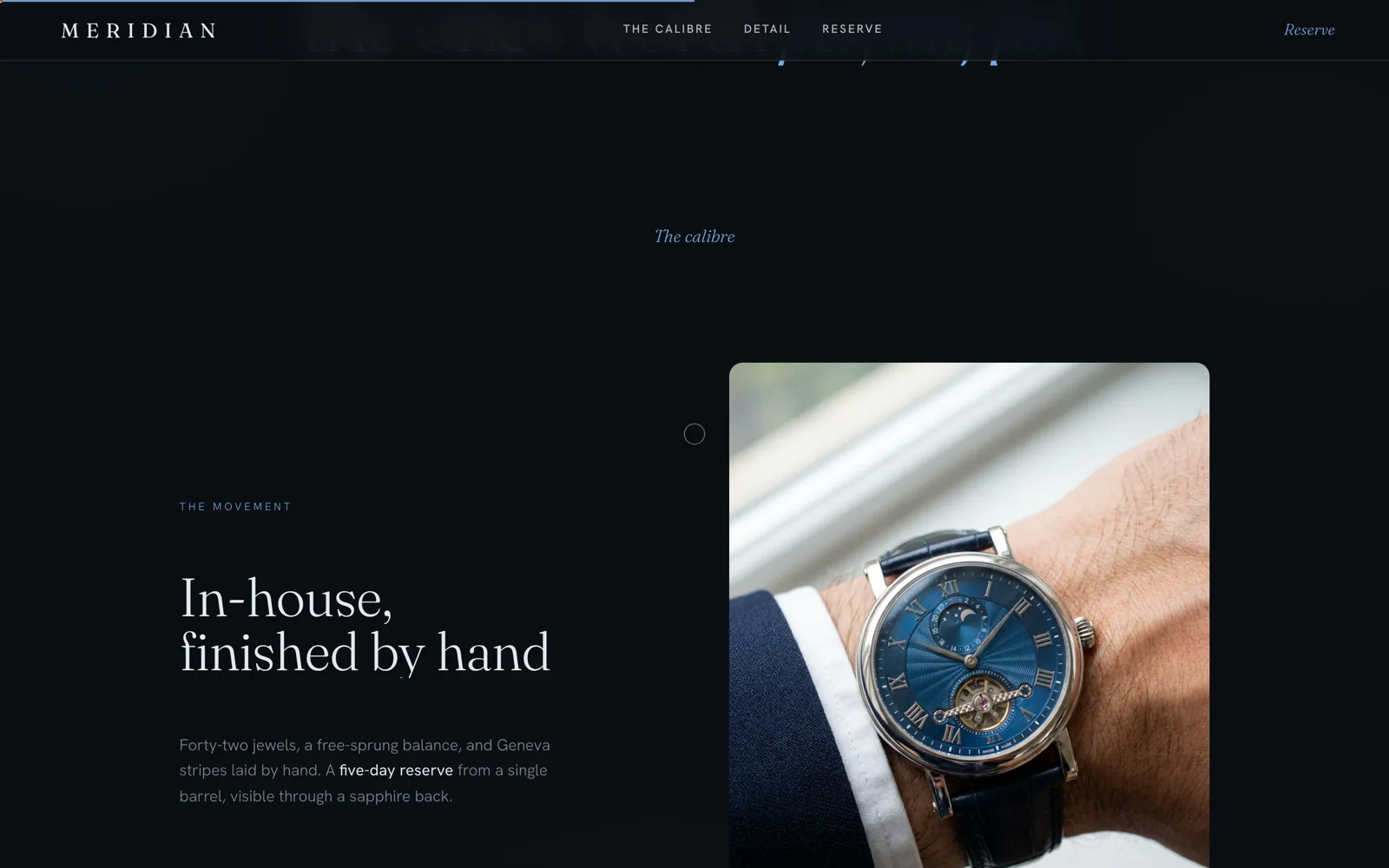 Meridian: Website detail