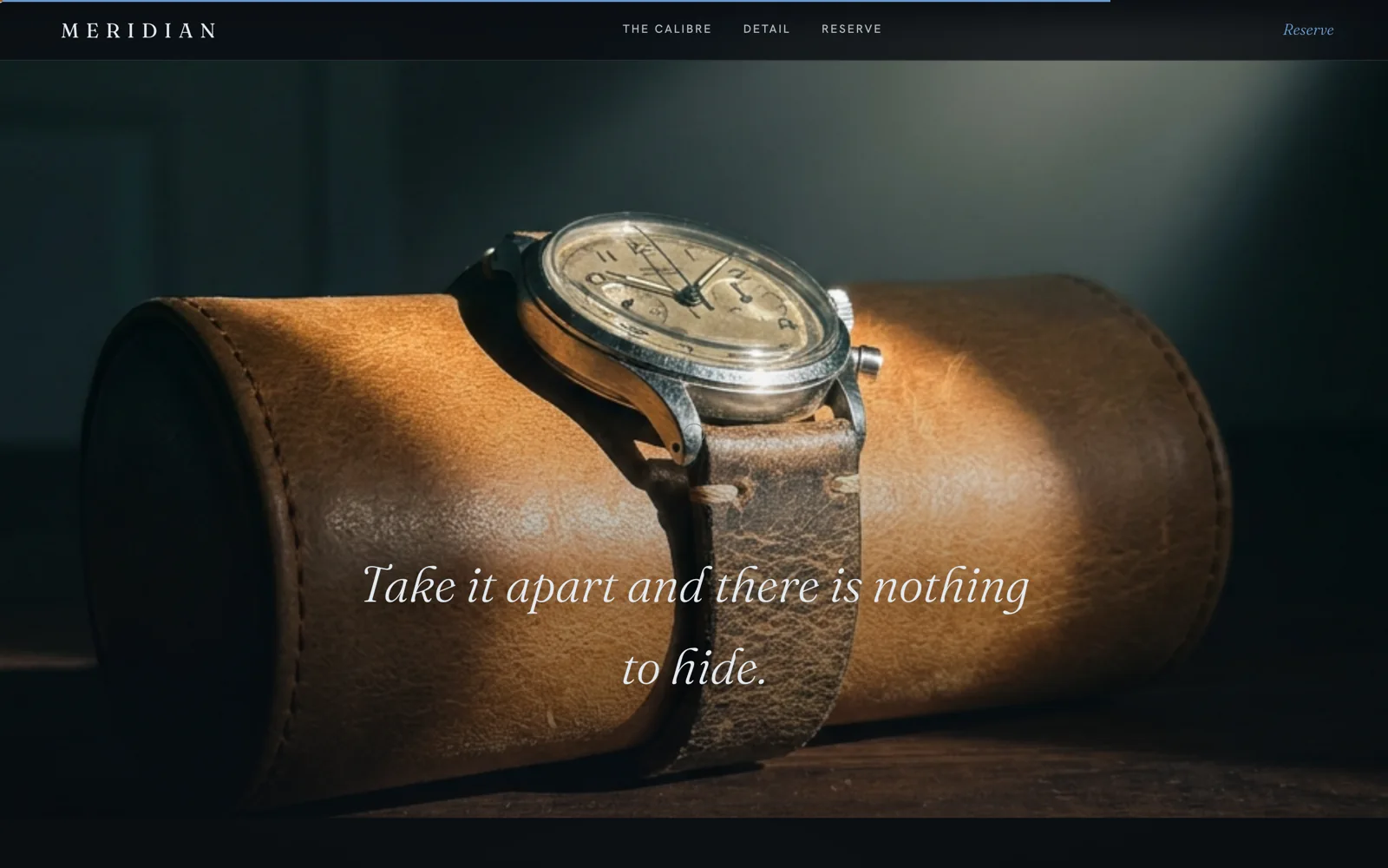 Meridian: Website detail